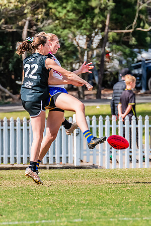 WPD Preliminary Final - UTS v Macquarie Uni - 2 September 2023