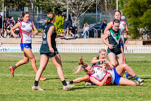 WPD Preliminary Final - UTS v Macquarie Uni - 2 September 2023