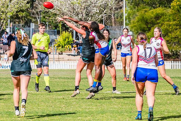 WPD Preliminary Final - UTS v Macquarie Uni - 2 September 2023