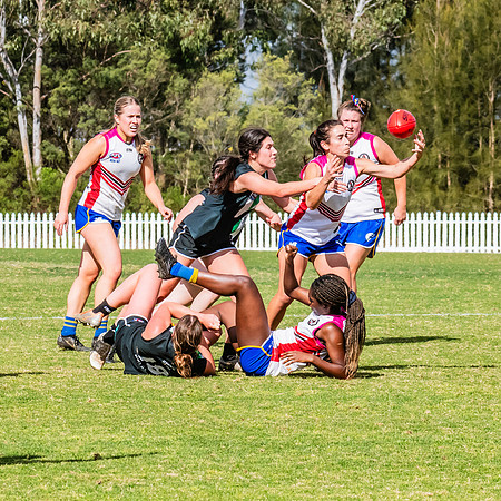 WPD Preliminary Final - UTS v Macquarie Uni - 2 September 2023