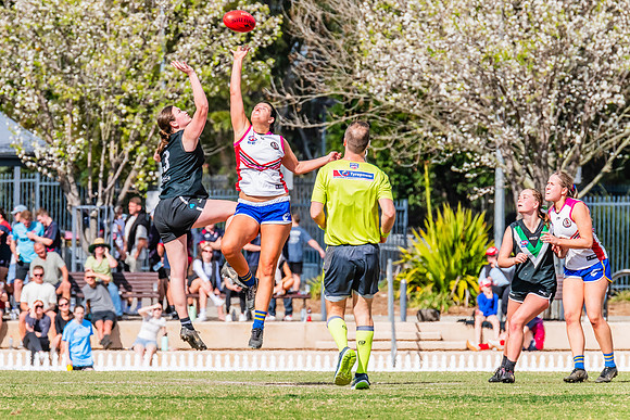 WPD Preliminary Final - UTS v Macquarie Uni - 2 September 2023