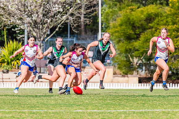 WPD Preliminary Final - UTS v Macquarie Uni - 2 September 2023