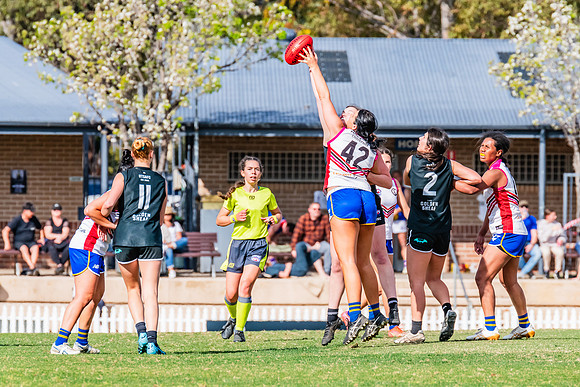 WPD Preliminary Final - UTS v Macquarie Uni - 2 September 2023