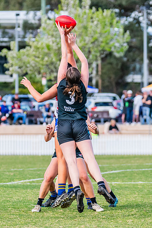 WPD Preliminary Final - UTS v Macquarie Uni - 2 September 2023