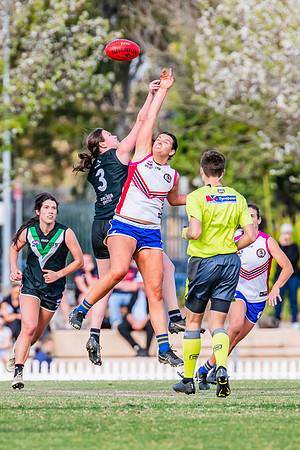 WPD Preliminary Final - UTS v Macquarie Uni - 2 September 2023