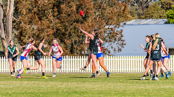 WPD Preliminary Final - UTS v Macquarie Uni - 2 September 2023