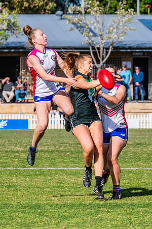 WPD Preliminary Final - UTS v Macquarie Uni - 2 September 2023