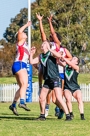 WPD Preliminary Final - UTS v Macquarie Uni - 2 September 2023