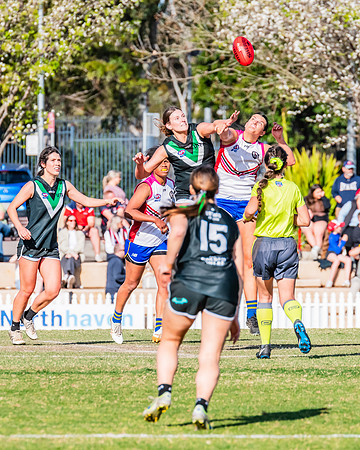 WPD Preliminary Final - UTS v Macquarie Uni - 2 September 2023