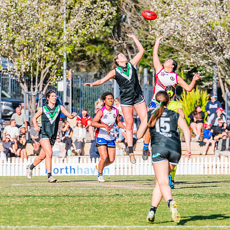 WPD Preliminary Final - UTS v Macquarie Uni - 2 September 2023