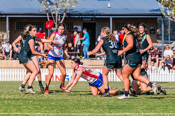WPD Preliminary Final - UTS v Macquarie Uni - 2 September 2023