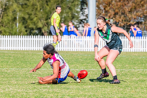 WPD Preliminary Final - UTS v Macquarie Uni - 2 September 2023