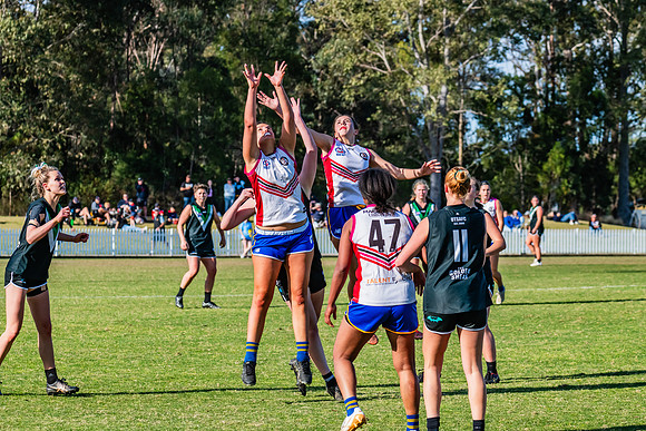 WPD Preliminary Final - UTS v Macquarie Uni - 2 September 2023