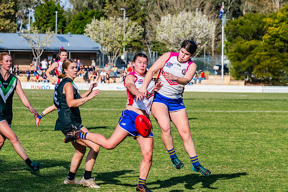 WPD Preliminary Final - UTS v Macquarie Uni - 2 September 2023