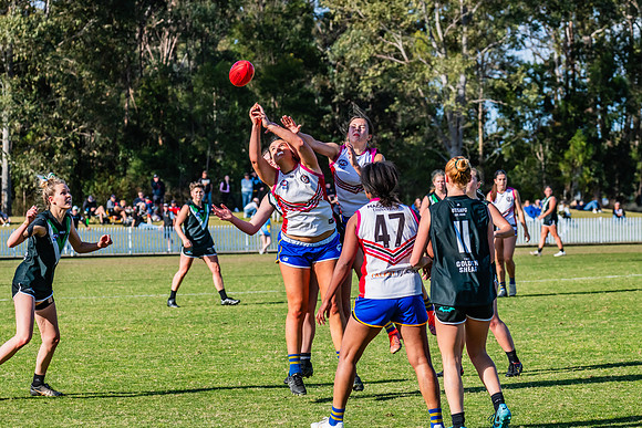 WPD Preliminary Final - UTS v Macquarie Uni - 2 September 2023