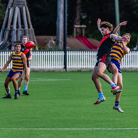 Rd 15 Men's Div 1 - North Shore v Sydney Uni - 3 August 2024