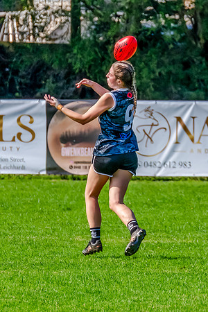 Rd 4 WD2 - Inner West v Randwick City - 25 April 2025