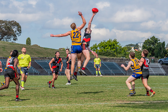 MPD Reserves Major Semi Final - Sydney University v North Shore
