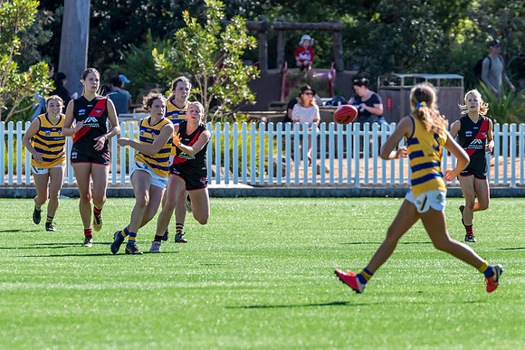 Rd 3 WPD - North Shore v Sydney Uni - 23 April 2022