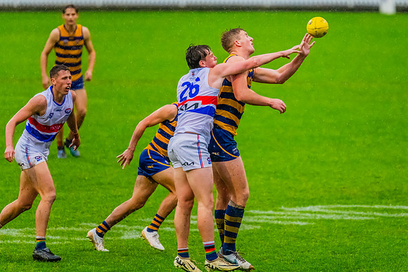 Rd 8 MPD - UNSW-ES v Sydney Uni - 1 June 2024