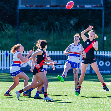 Rd 4 WPD - North Shore v UNSW-ES - 27 April 2024