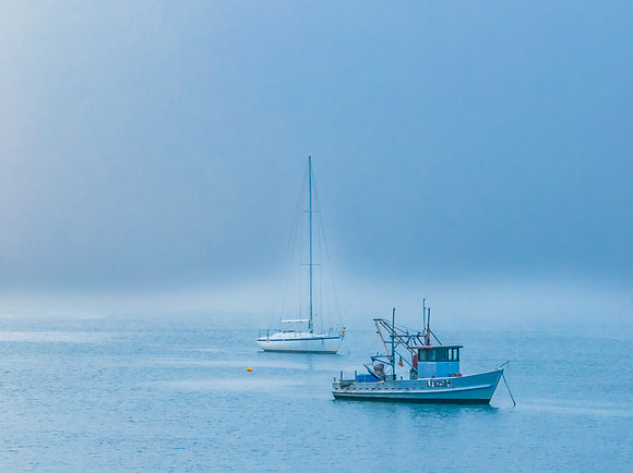 One foggy morning over the bay