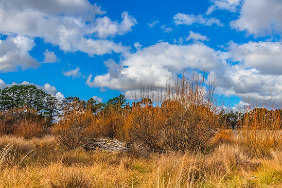 Clouds and a Winter sky over rural land