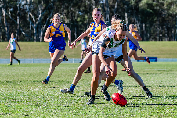 WPD Grand Final - East Coast v UTS - 9 September 2023