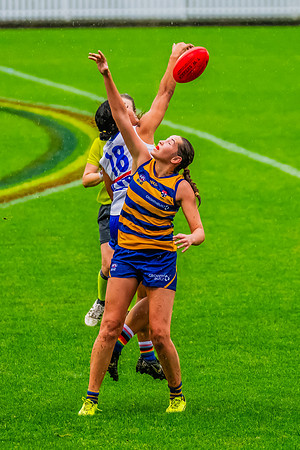 Rd 8 WPD - UNSW-ES v Sydney Uni - 1 June 2024