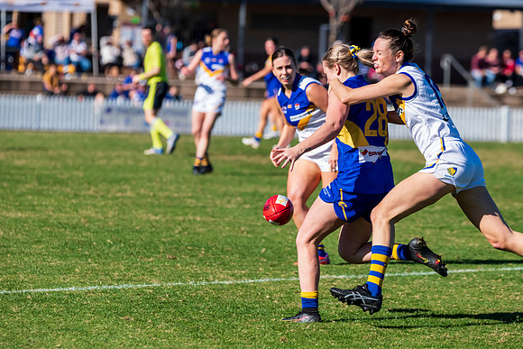 Rd 9 MPD - East Coast v Sydney Uni - 5 June