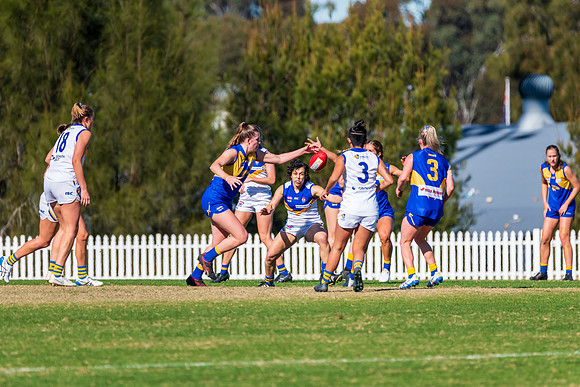 Rd 9 MPD - East Coast v Sydney Uni - 5 June