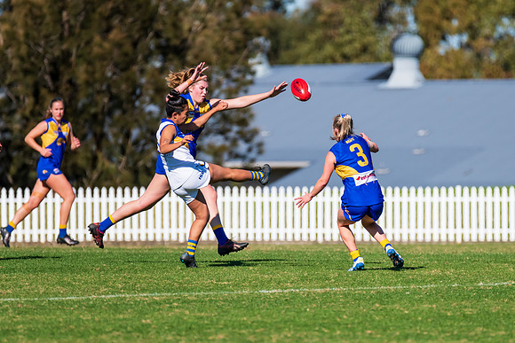Rd 9 MPD - East Coast v Sydney Uni - 5 June