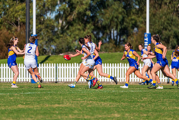 Rd 9 MPD - East Coast v Sydney Uni - 5 June