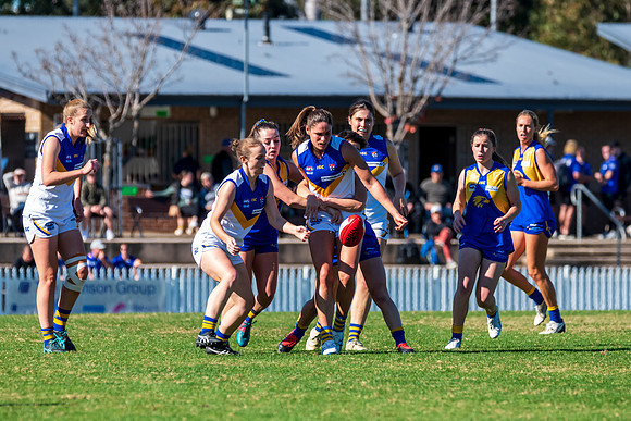 Rd 9 MPD - East Coast v Sydney Uni - 5 June