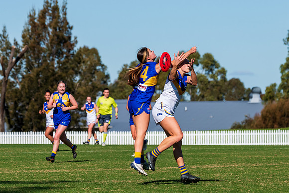Rd 9 MPD - East Coast v Sydney Uni - 5 June