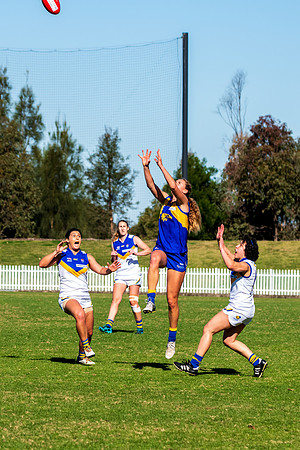 Rd 9 MPD - East Coast v Sydney Uni - 5 June