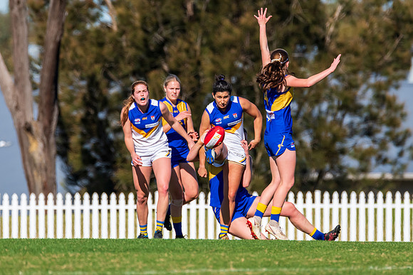 Rd 9 MPD - East Coast v Sydney Uni - 5 June