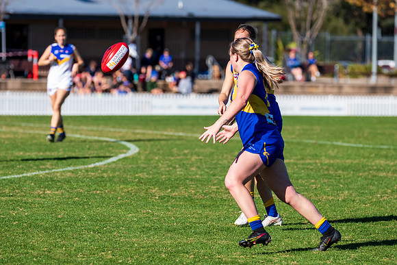 Rd 9 MPD - East Coast v Sydney Uni - 5 June