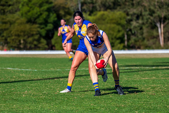 Rd 9 MPD - East Coast v Sydney Uni - 5 June