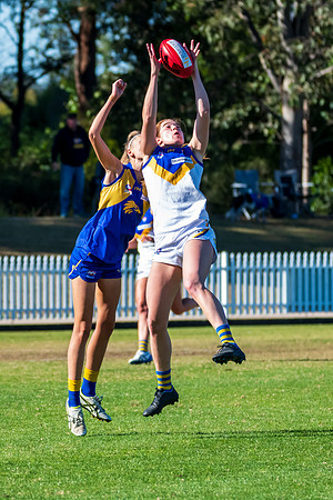 Rd 9 MPD - East Coast v Sydney Uni - 5 June