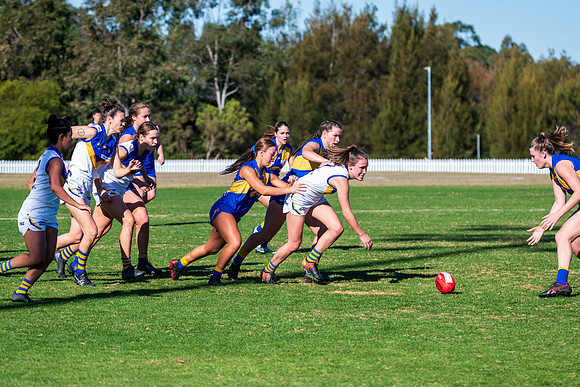 Rd 9 MPD - East Coast v Sydney Uni - 5 June