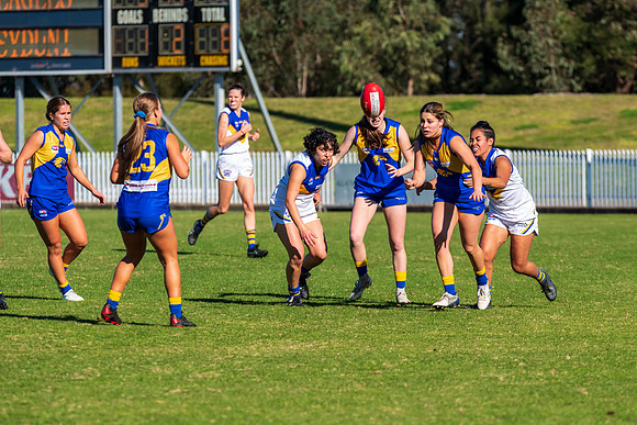 Rd 9 MPD - East Coast v Sydney Uni - 5 June