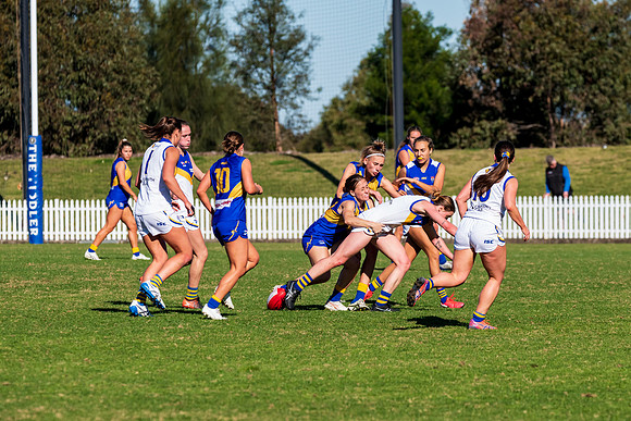 Rd 9 MPD - East Coast v Sydney Uni - 5 June