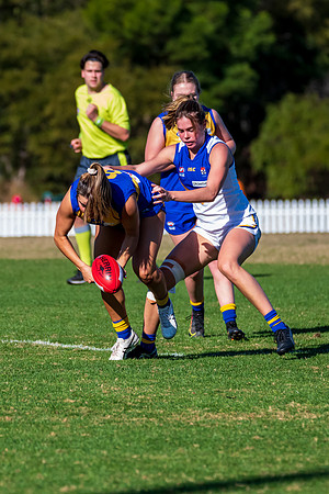 Rd 9 MPD - East Coast v Sydney Uni - 5 June
