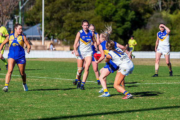 Rd 9 MPD - East Coast v Sydney Uni - 5 June
