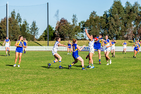 Rd 9 MPD - East Coast v Sydney Uni - 5 June