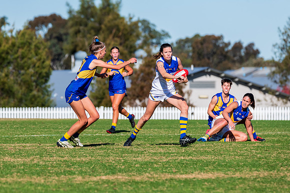 Rd 9 MPD - East Coast v Sydney Uni - 5 June