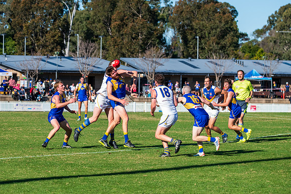 Rd 9 MPD - East Coast v Sydney Uni - 5 June