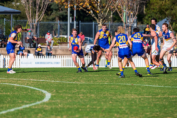 Rd 9 MPD - East Coast v Sydney Uni - 5 June
