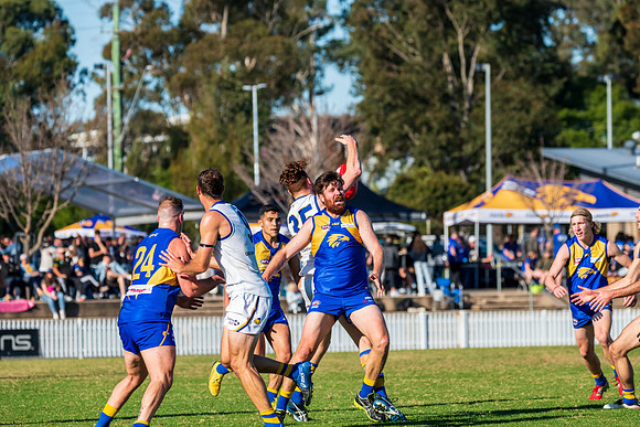 Rd 9 MPD - East Coast v Sydney Uni - 5 June